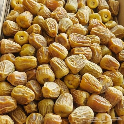 SUKRI DATES SAUDI DRY 1KG